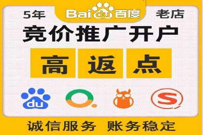 案例解读：网络推广与竞价策略